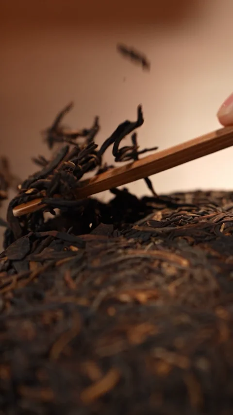 木兰影像《大师茶》